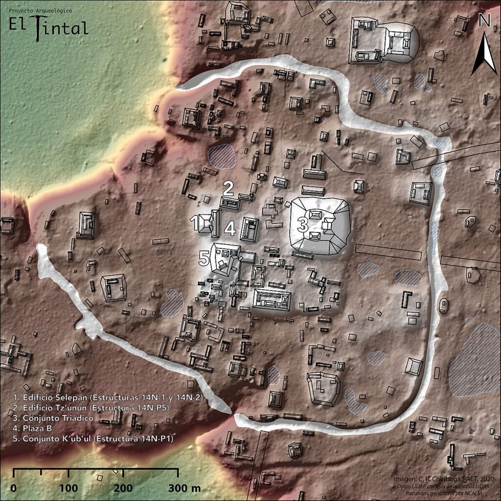 LiDAR map of El Tintal's Mano de León complex in Petén, Guatemala: platforms, reservoirs, and straight causeways stand out as pale ridges on the bare-earth model.