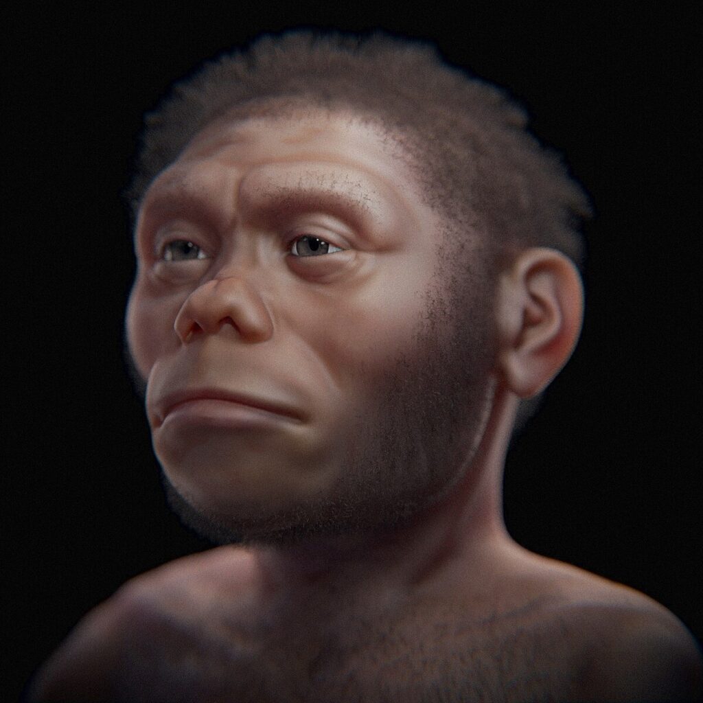 Facial reconstruction of Homo floresiensis (LB1) built from skull measurements; short face, small cranial vault, and slight build.