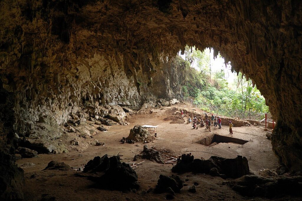 Entrance of Liang Bua cave on Flores, the site that yielded Homo floresiensis; limestone chamber with broad opening.