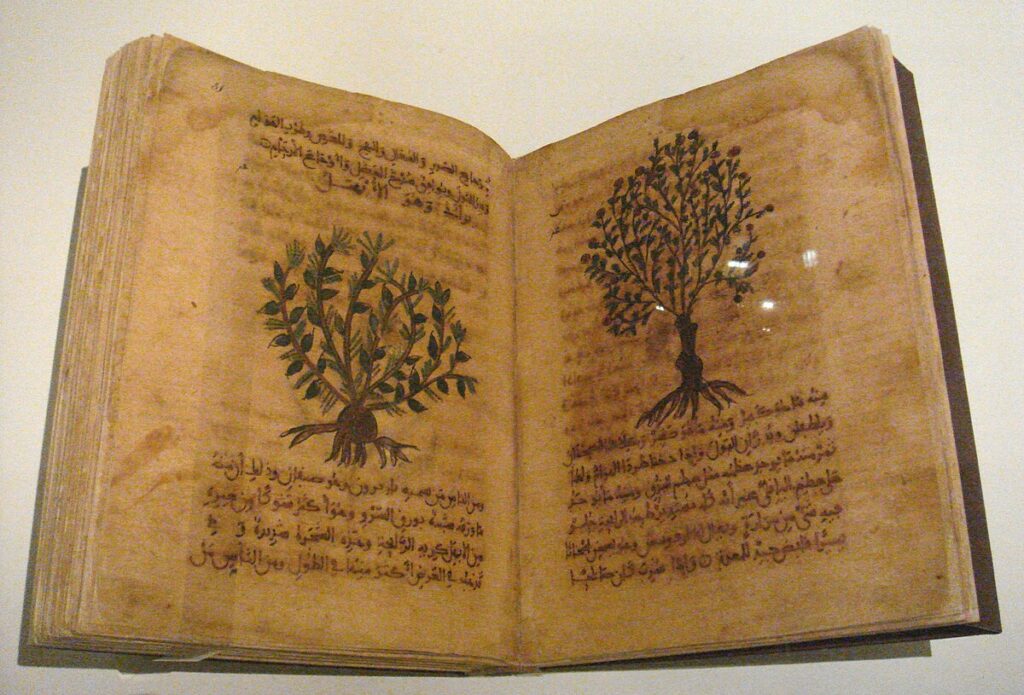 Manuscript page from a medieval copy of Dioscorides’ De Materia Medica showing physicians and text.
