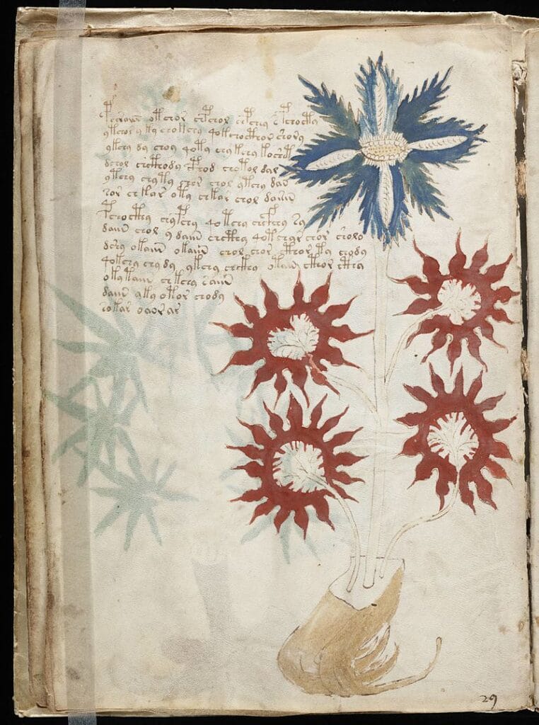 Full herbal page with a large composite plant and scripted labels.